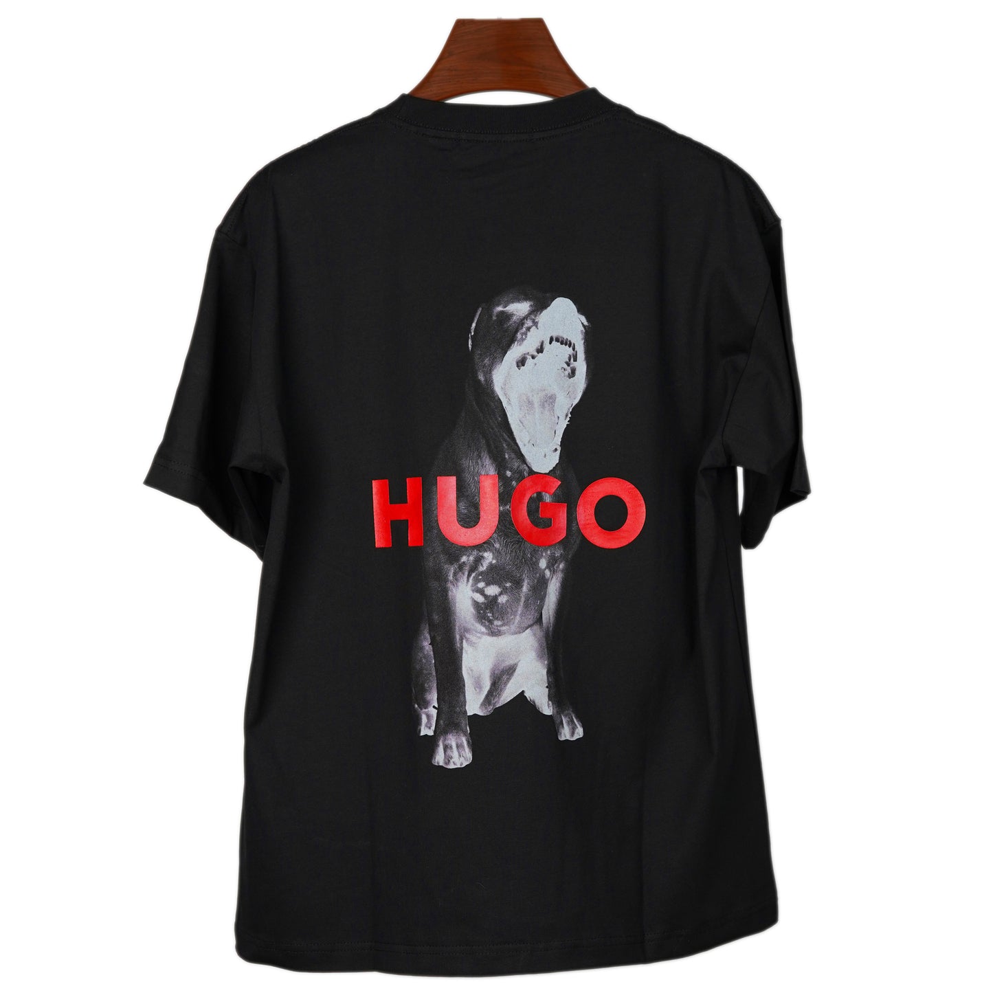 Hugo