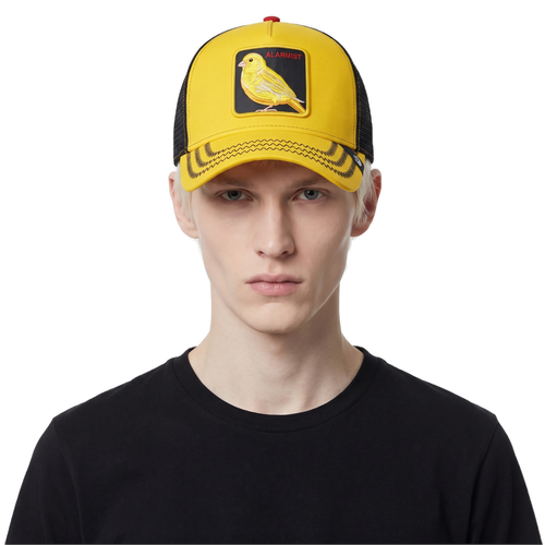 Alarmist Cap — model photo